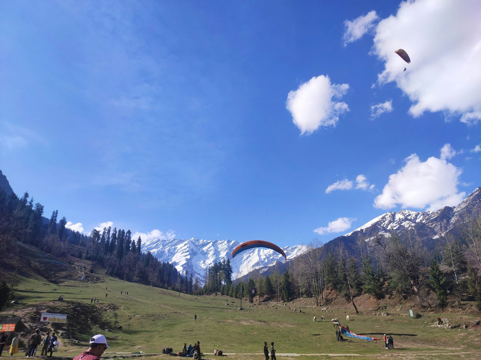 Paragliding In Solang Valley