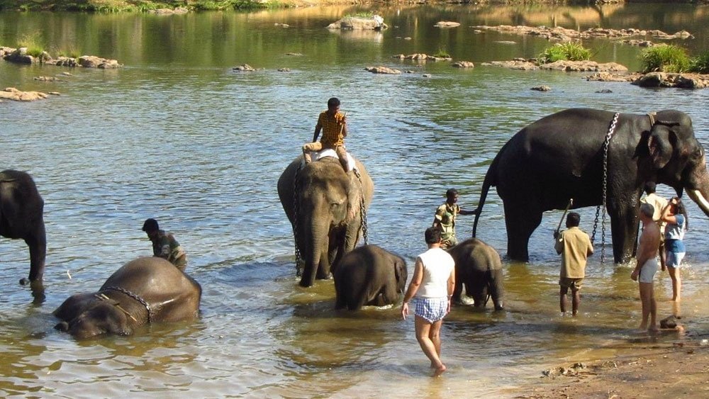 Dubare Elephant Camp
