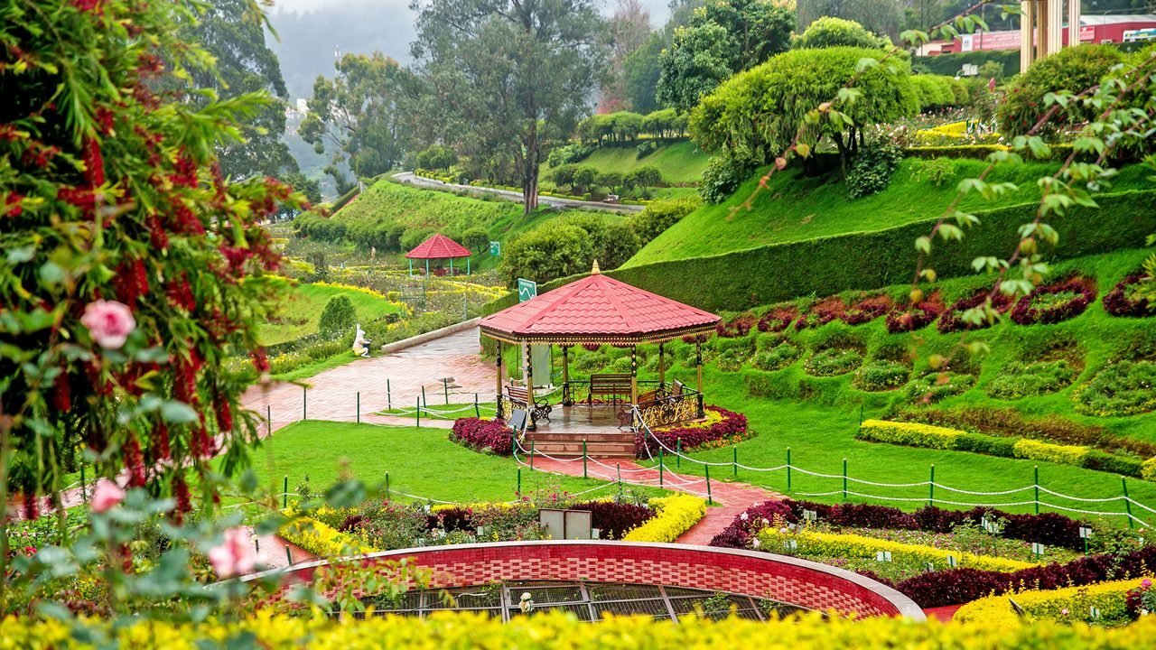 rose garden ooty